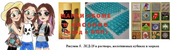 индика Алексин