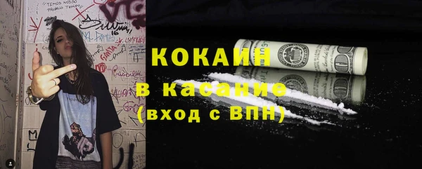 индика Алексин
