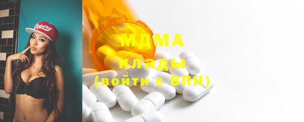 индика Алексин