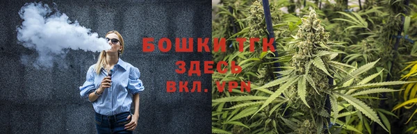 ALPHA-PVP Новозыбков