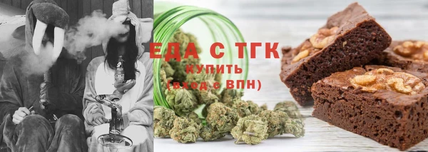 индика Алексин