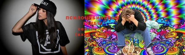 спайс Алексеевка